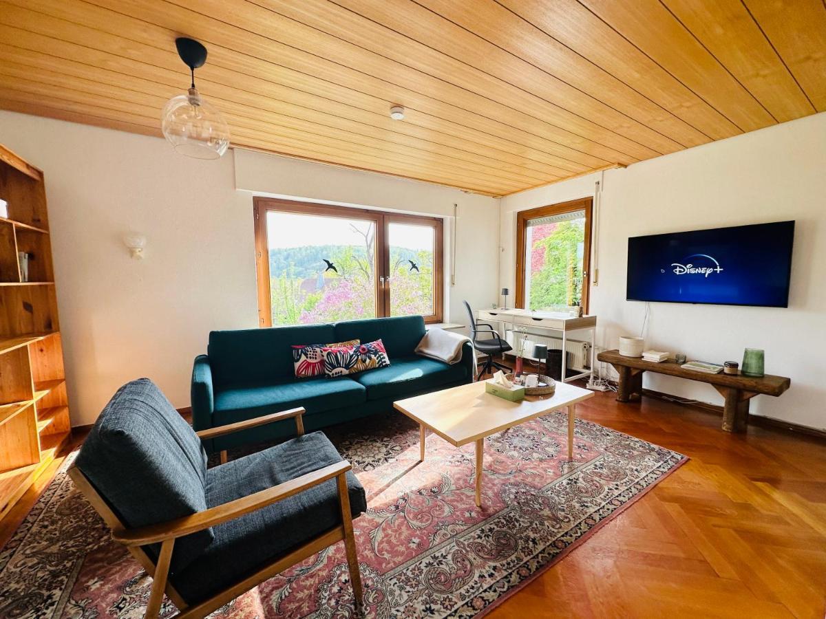 B17 Two Bed Apartment West Town 布拉河畔的海登海姆 外观 照片